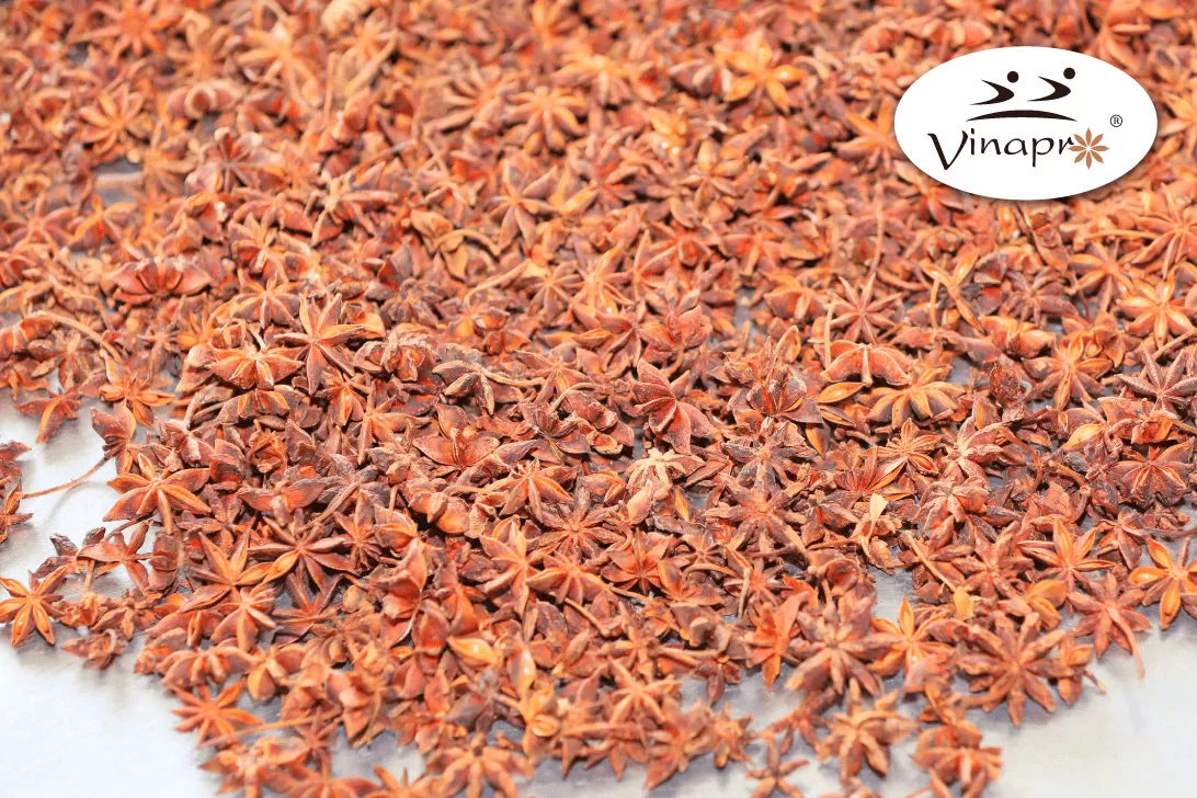 Spring Star Aniseed