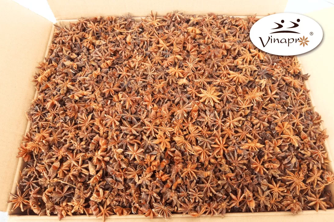 Spring Star Aniseed