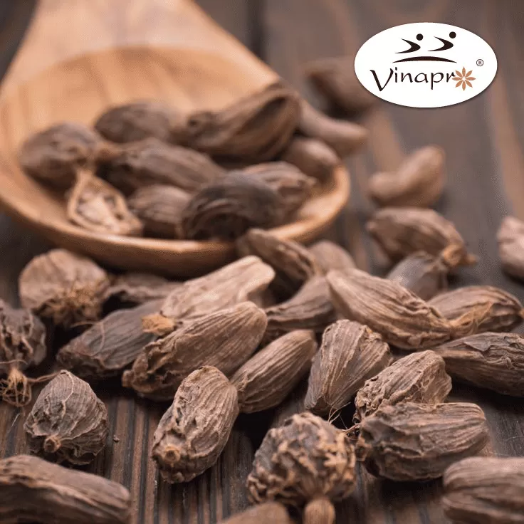 Black Cardamom