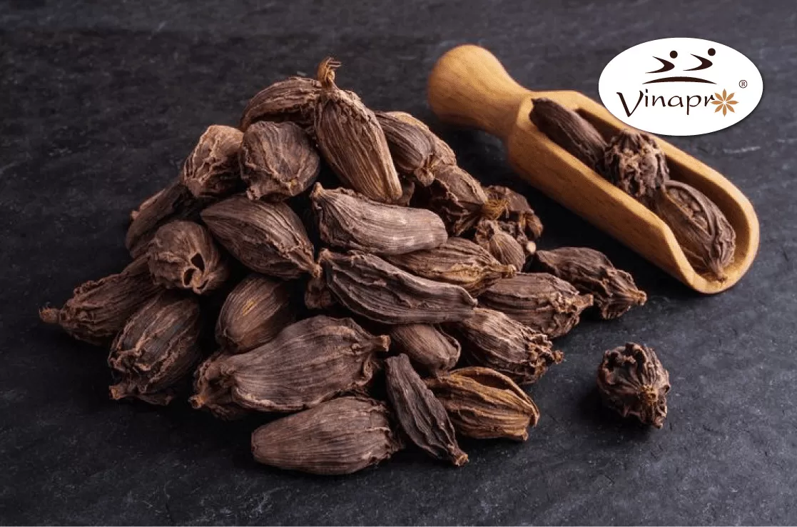 Black Cardamom