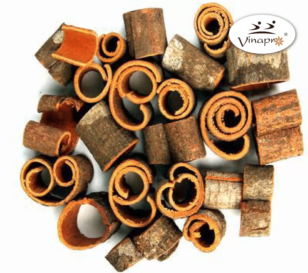 Round cut cassia