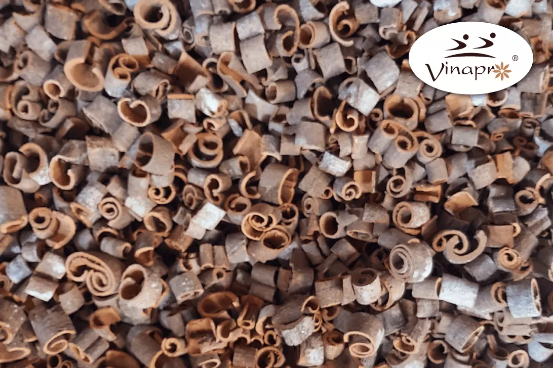 Round cut cassia
