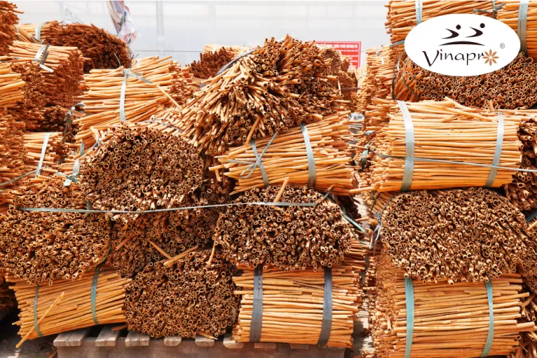 Stick cassia