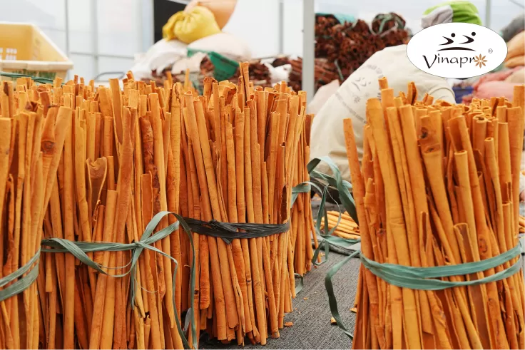 Stick cassia