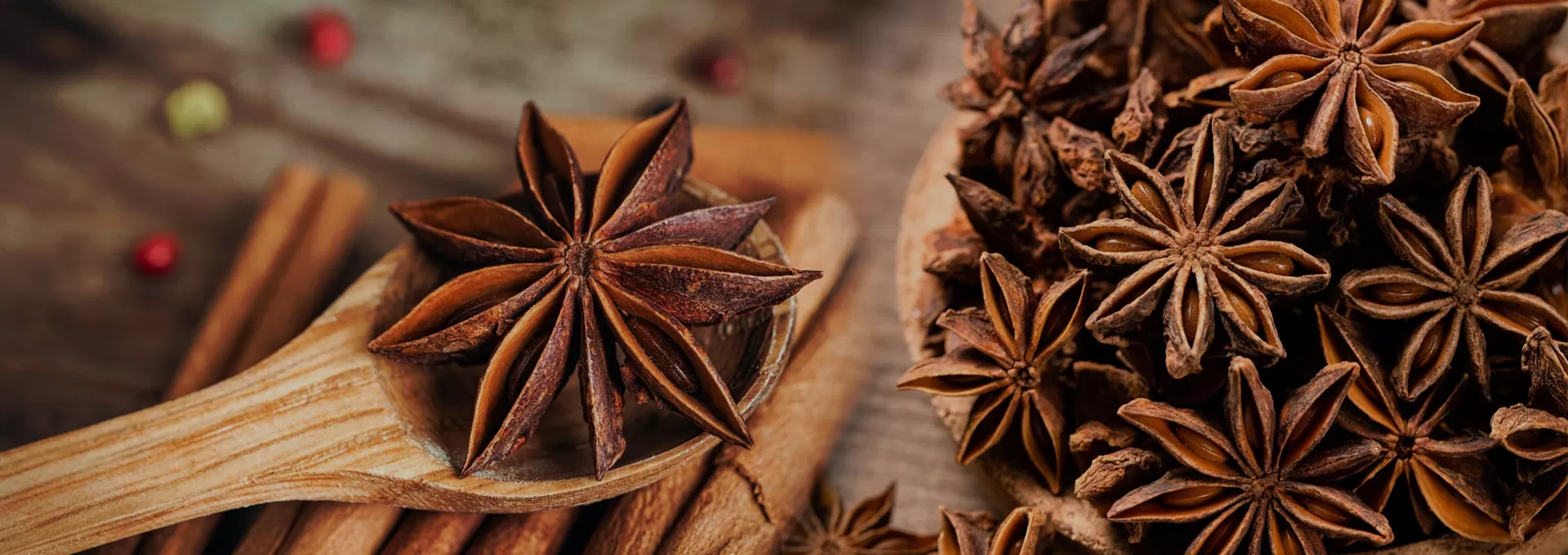 Star Aniseed
