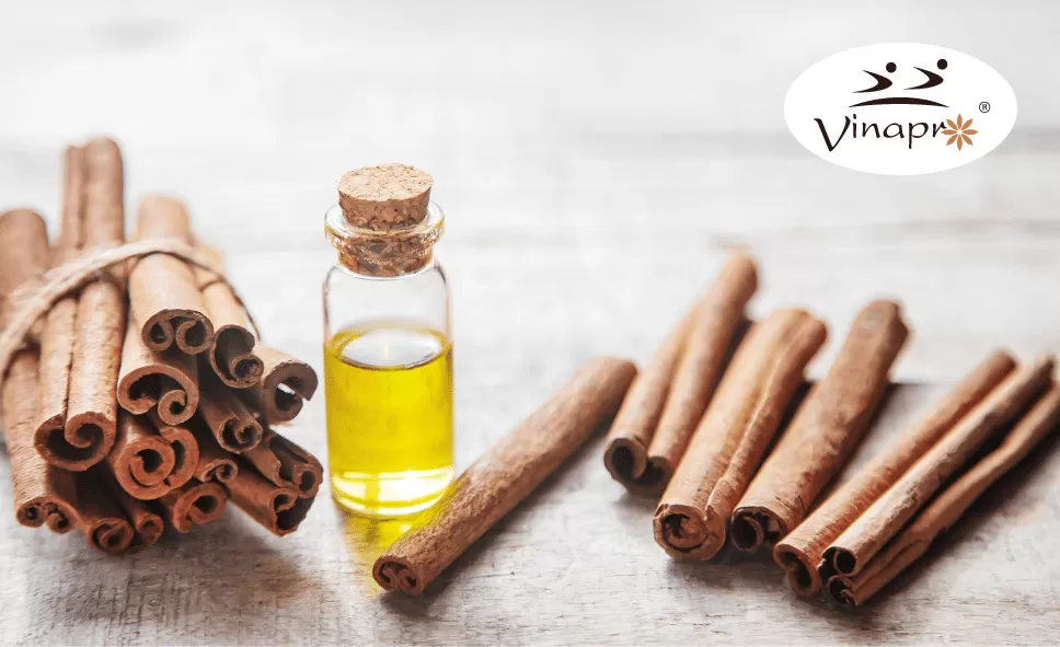 Cassia Oil
