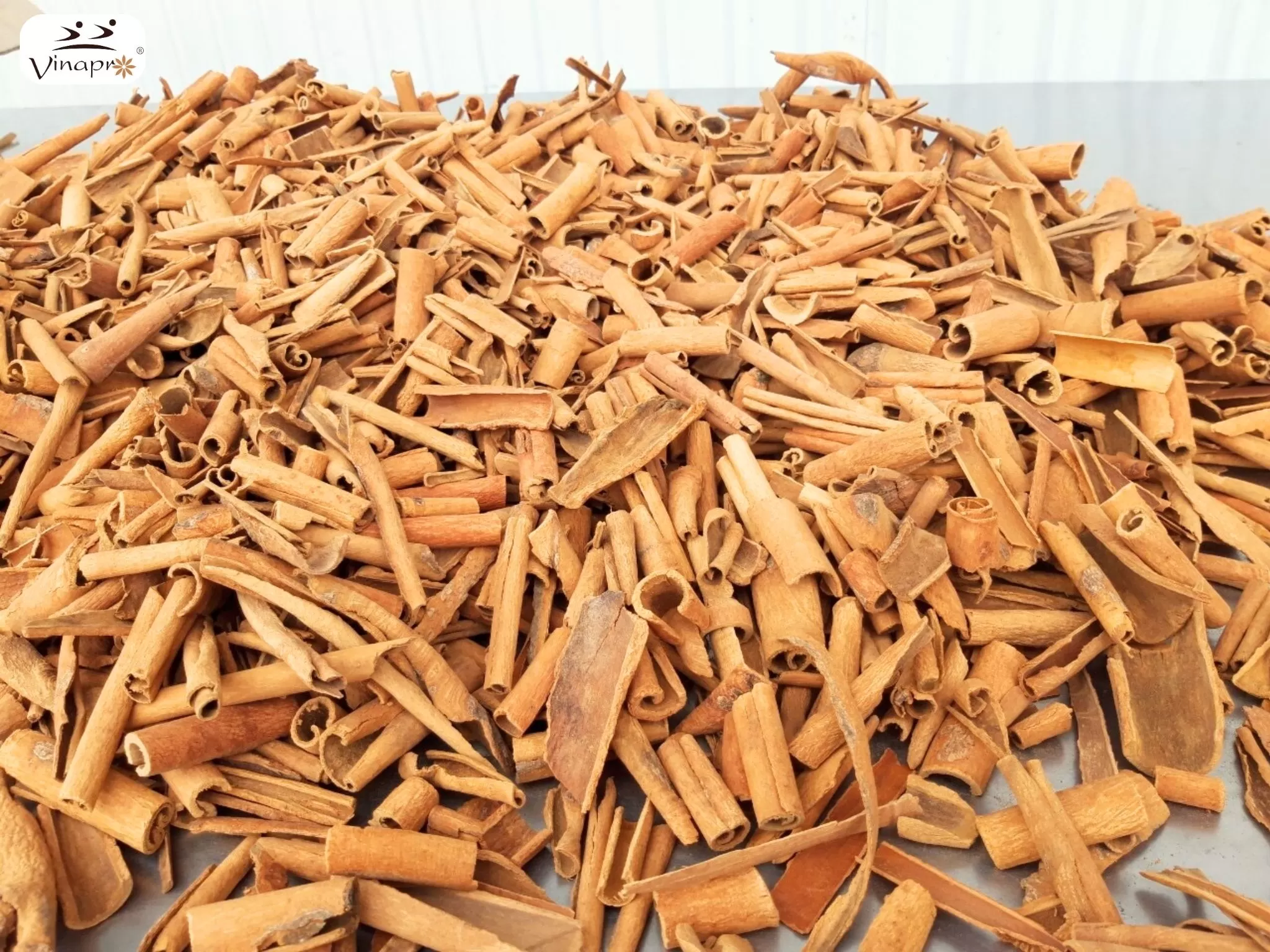Broken Cassia from Vietnam: A Cost-Effective Cinnamon Solution for Global Industries