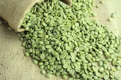 Coffee Beans Green Vietnam Supplier for Middle East Markets