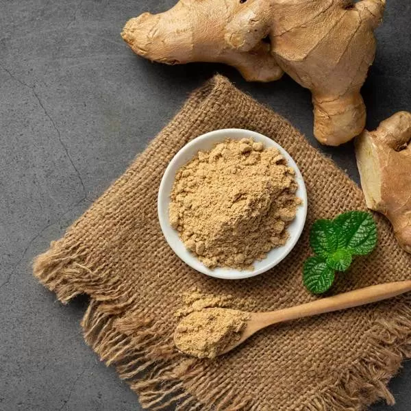 Powder Ginger – Stable Quality from Vietnam for Bulk Supply