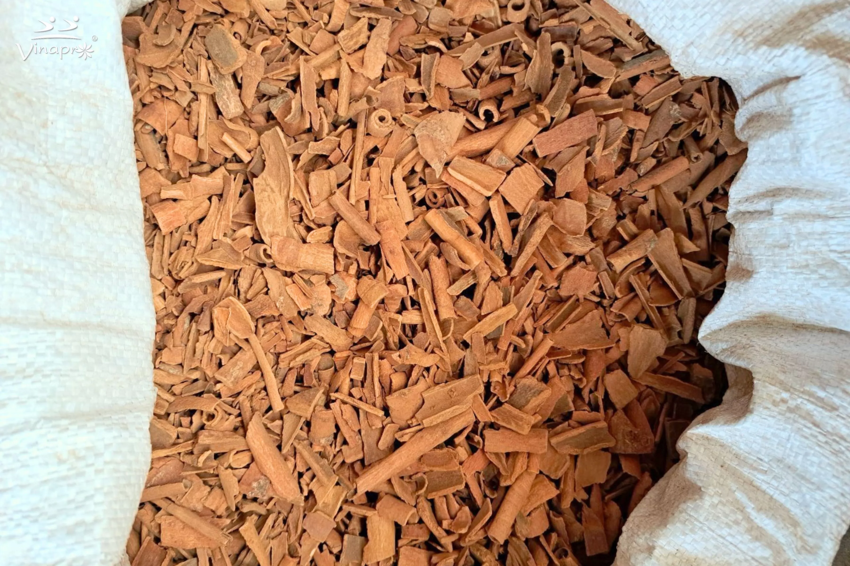 Broken Cassia