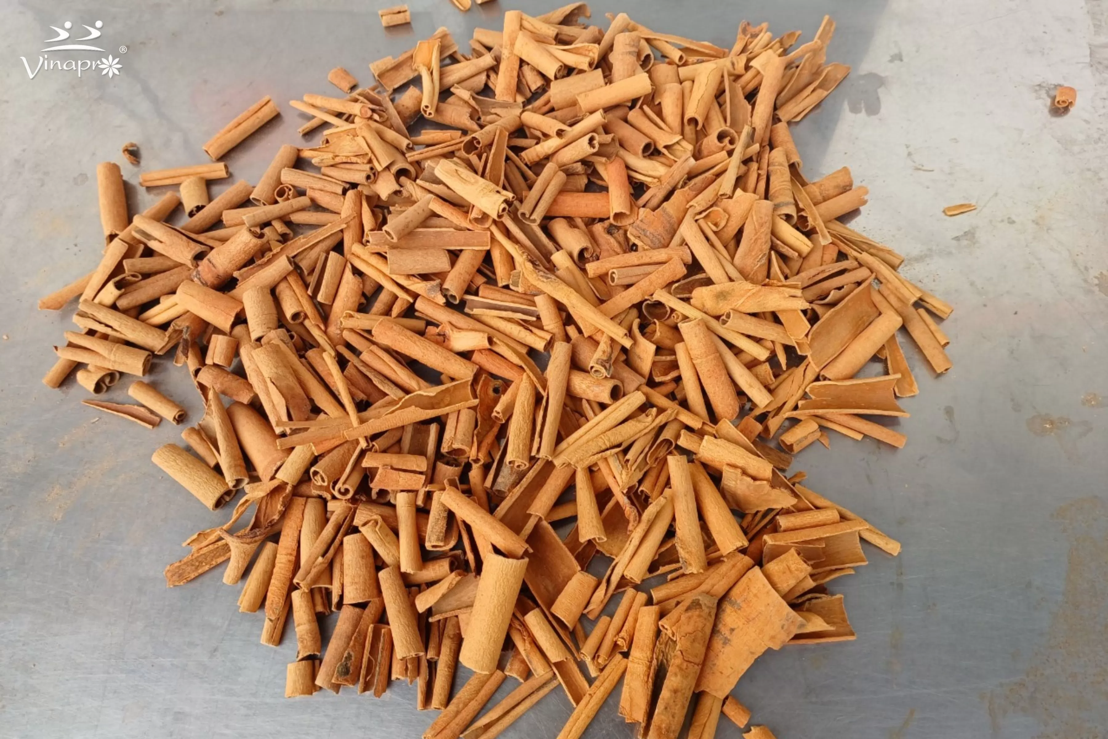 Broken Cassia