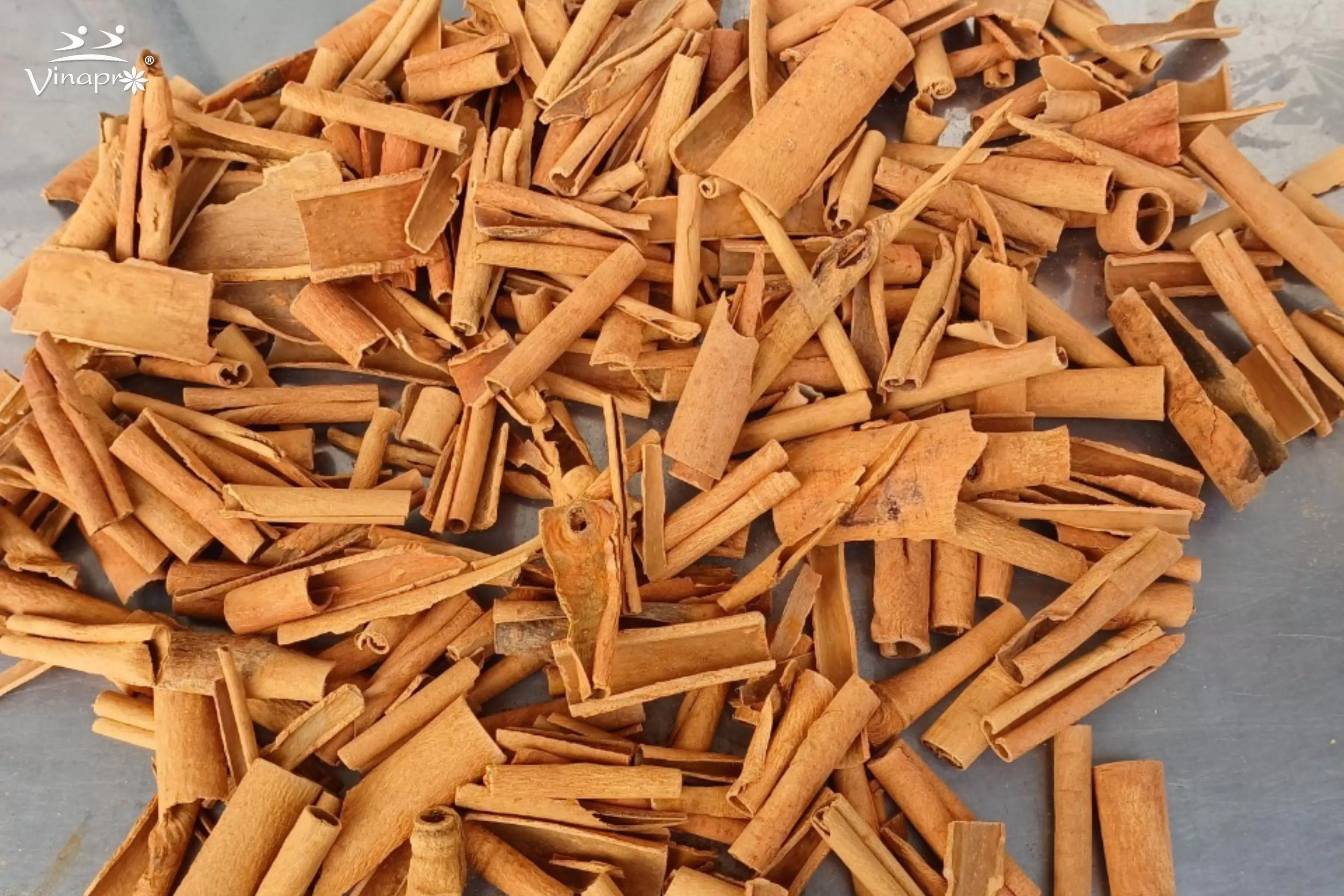 Broken Cassia