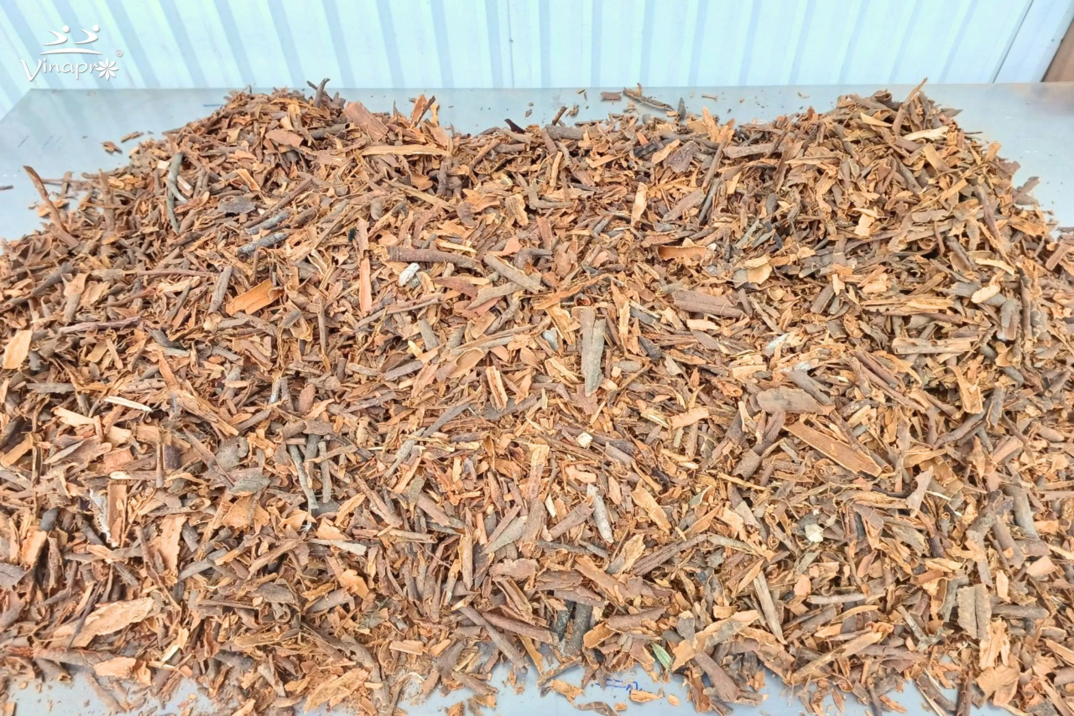 Broken Cassia