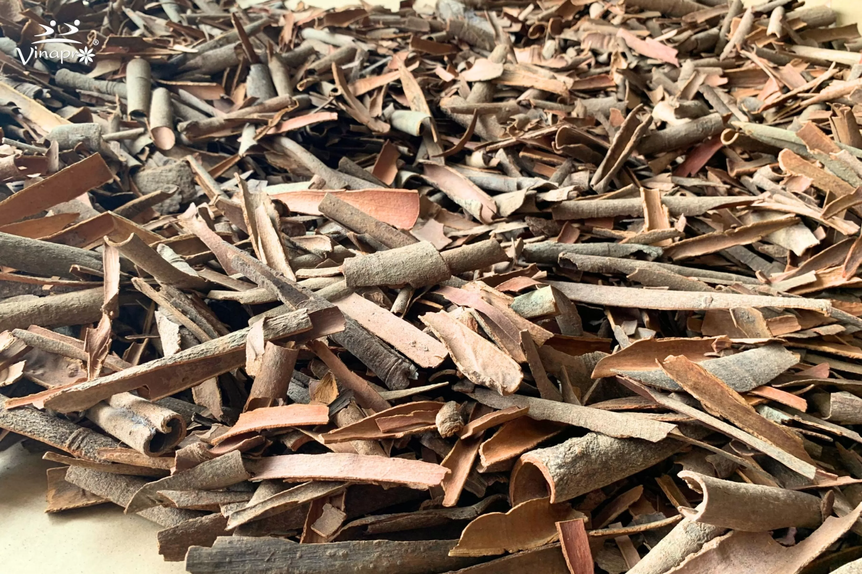 Broken Cassia