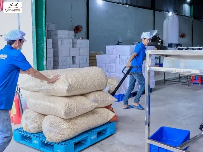 White Whole Cashew Nuts WW240, WW320, WW450
