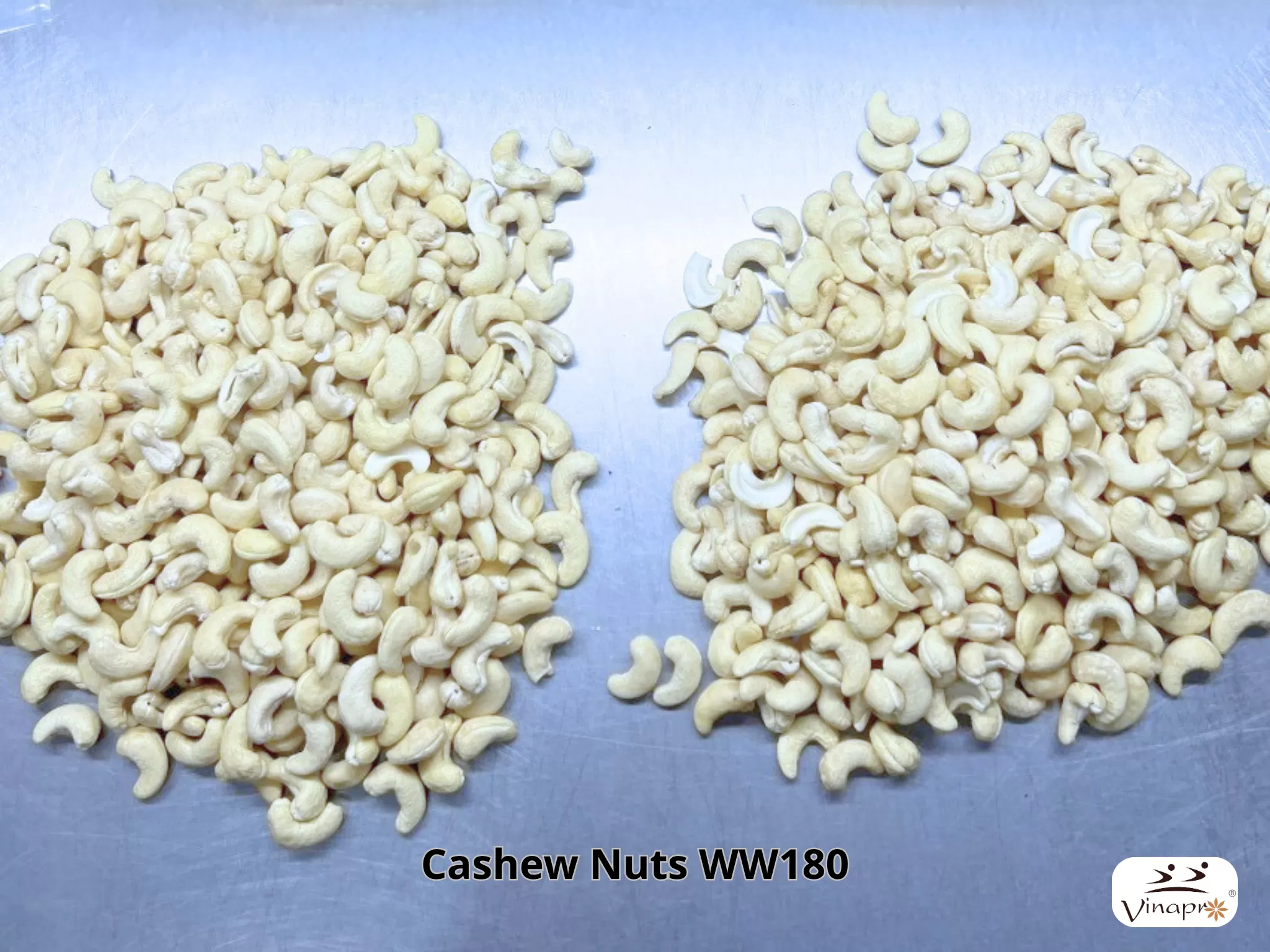 White Whole Cashew Nuts WW160, WW180, WW210