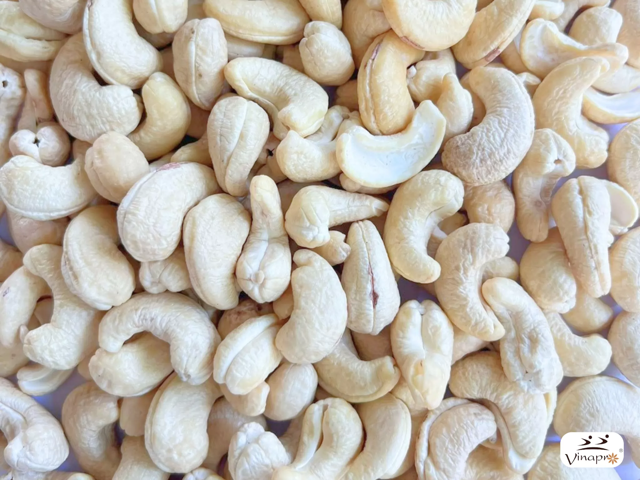 White Whole Cashew Nuts WW160, WW180, WW210