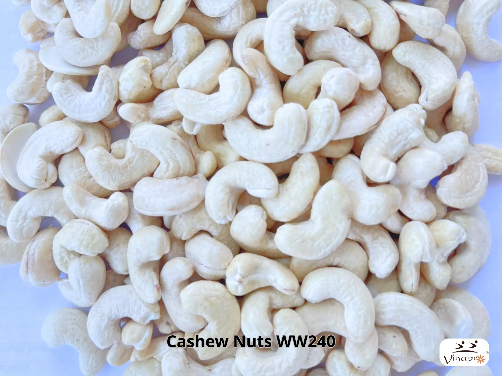 White Whole Cashew Nuts WW240, WW320, WW450