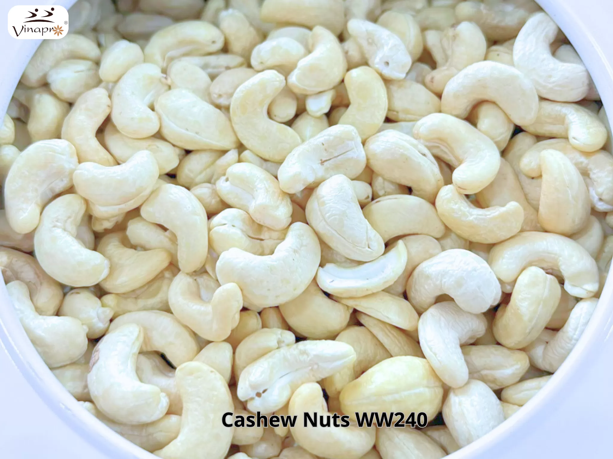 White Whole Cashew Nuts WW240, WW320, WW450