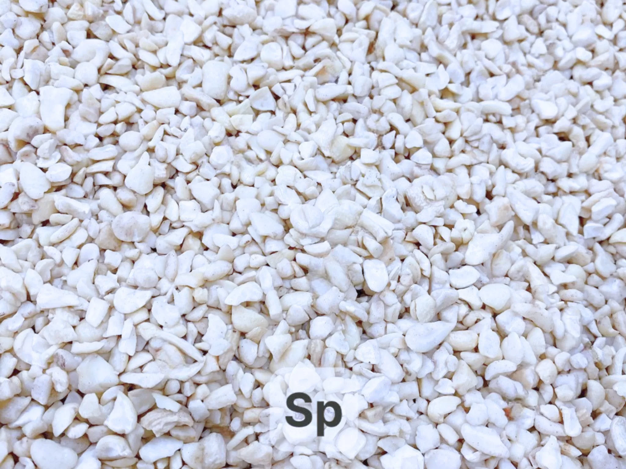 Broken Cashew Nuts WS, LP, SP, BB