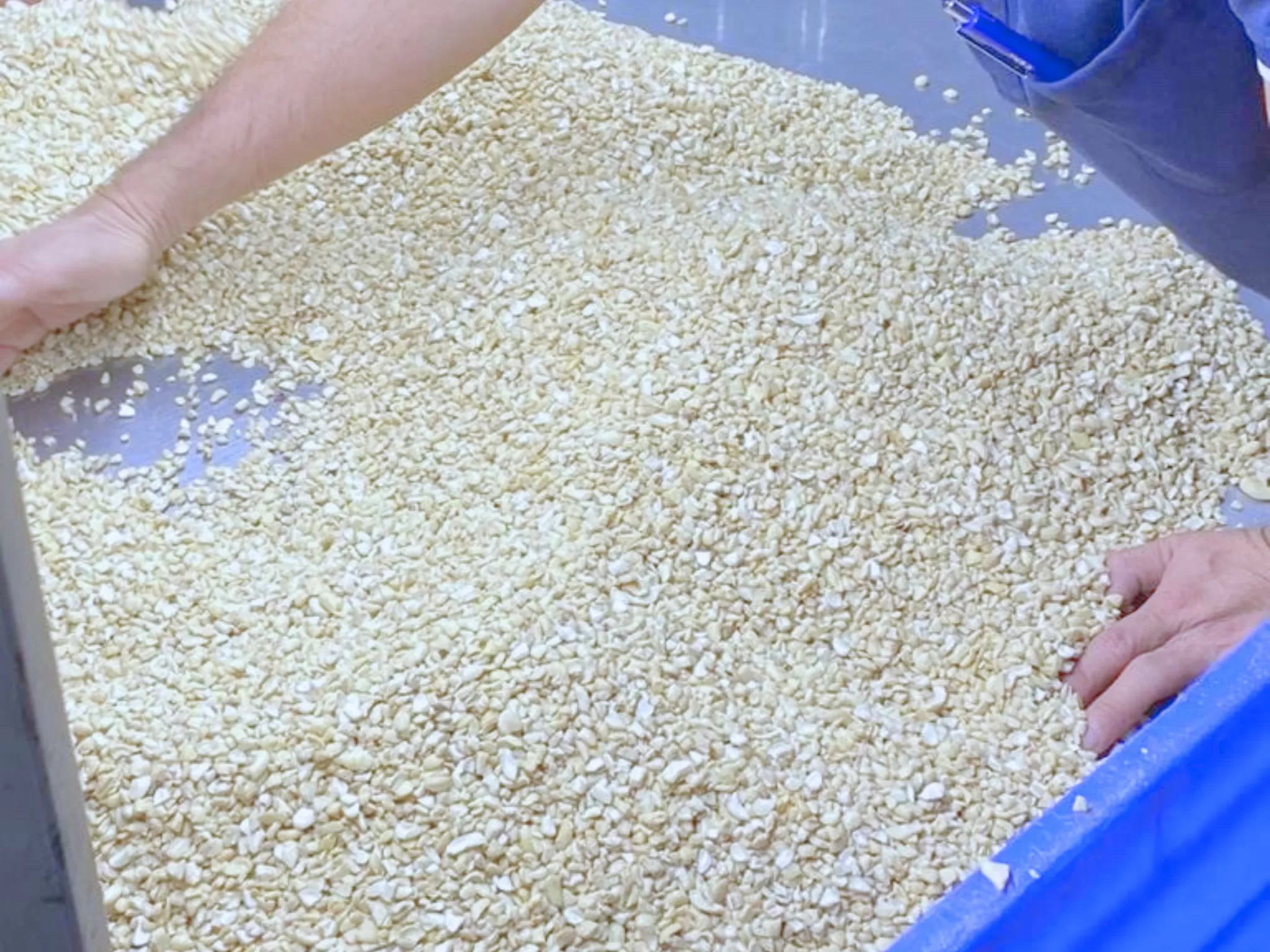 Broken Cashew Nuts WS, LP, SP, BB