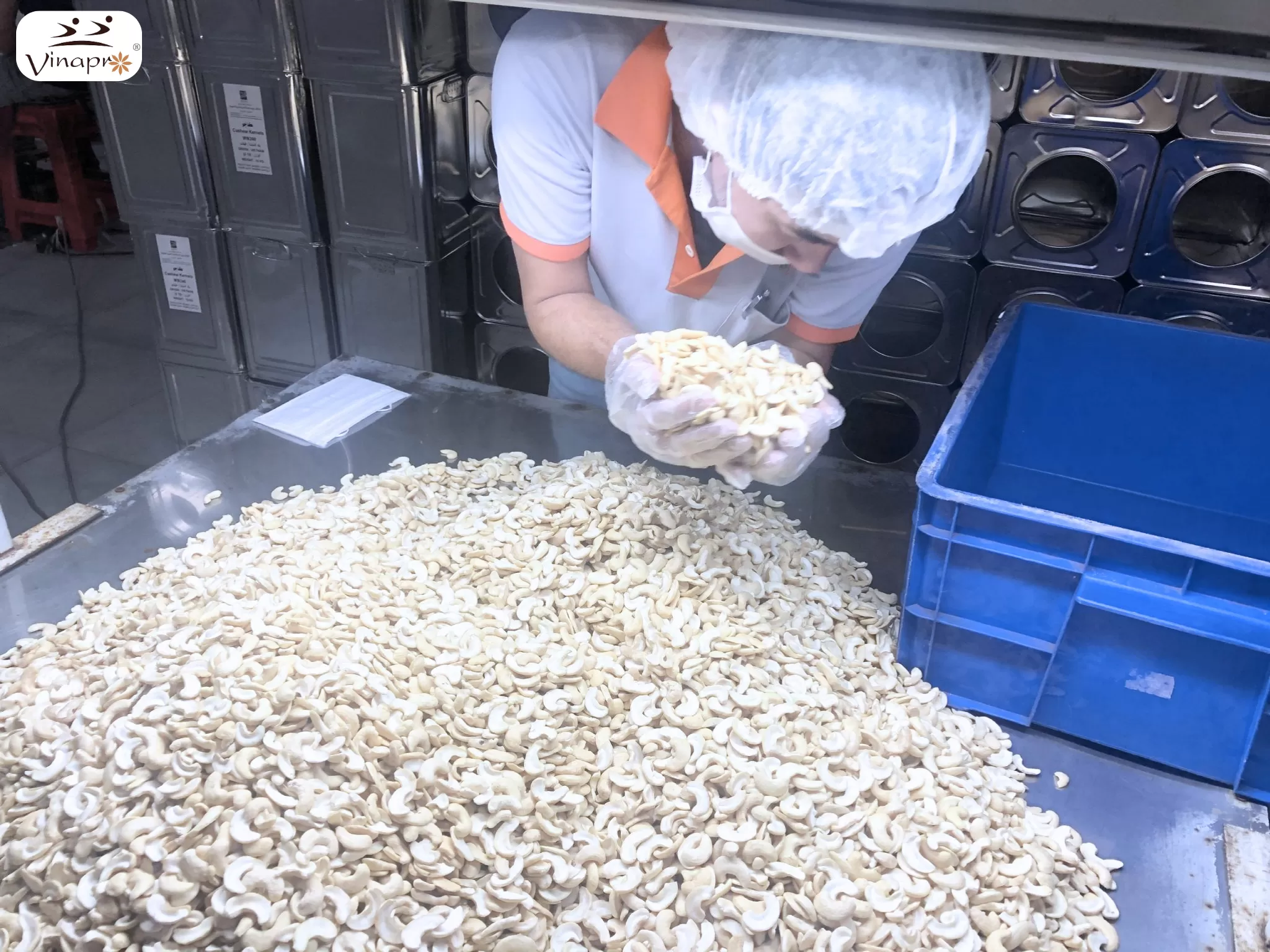 Broken Cashew Nuts WS, LP, SP, BB