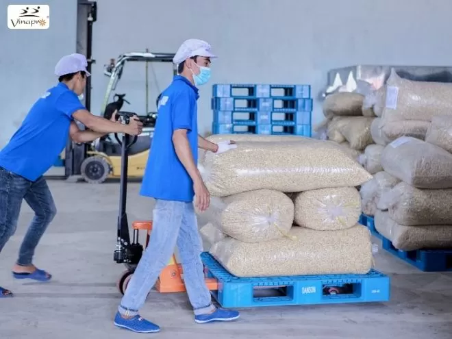 White Whole Cashew Nuts WW240, WW320, WW450