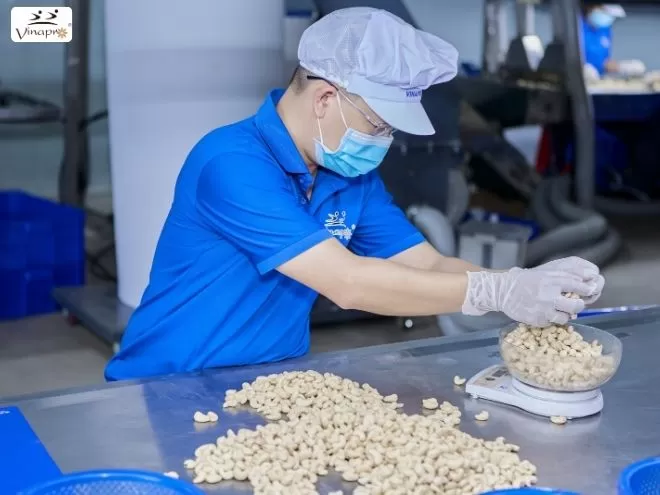 White Whole Cashew Nuts WW240, WW320, WW450