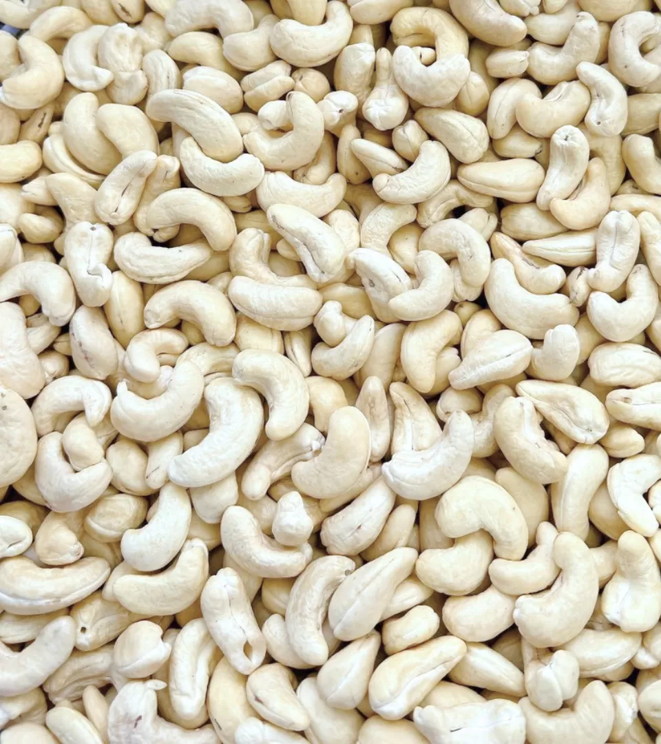 White Whole Cashew Nuts WW160, WW180, WW210