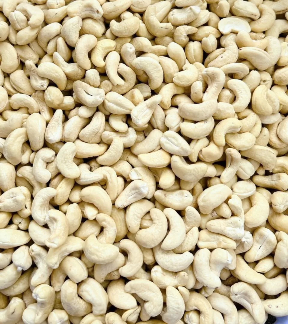 White Whole Cashew Nuts WW240, WW320, WW450
