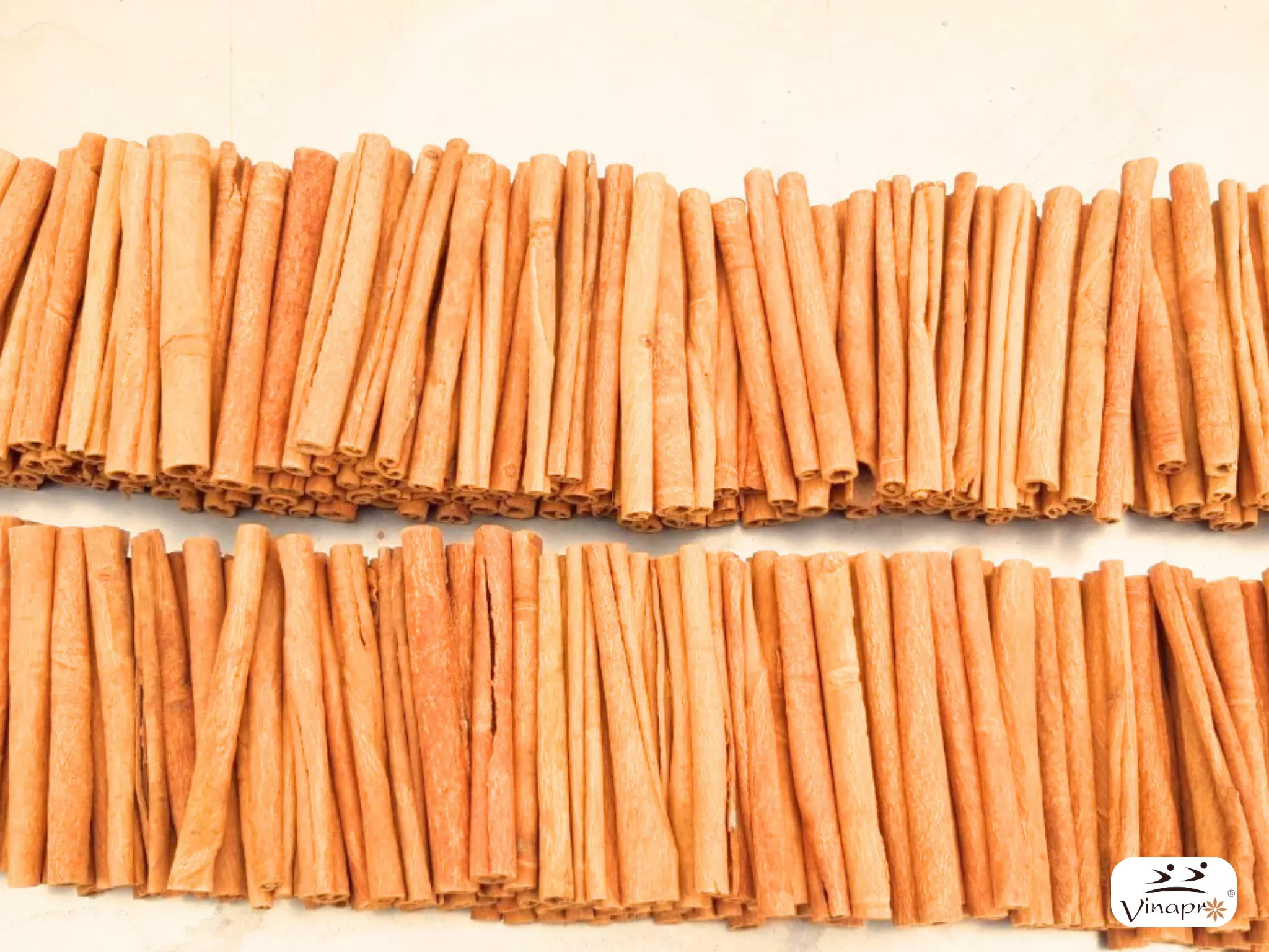 Cigarette cassia