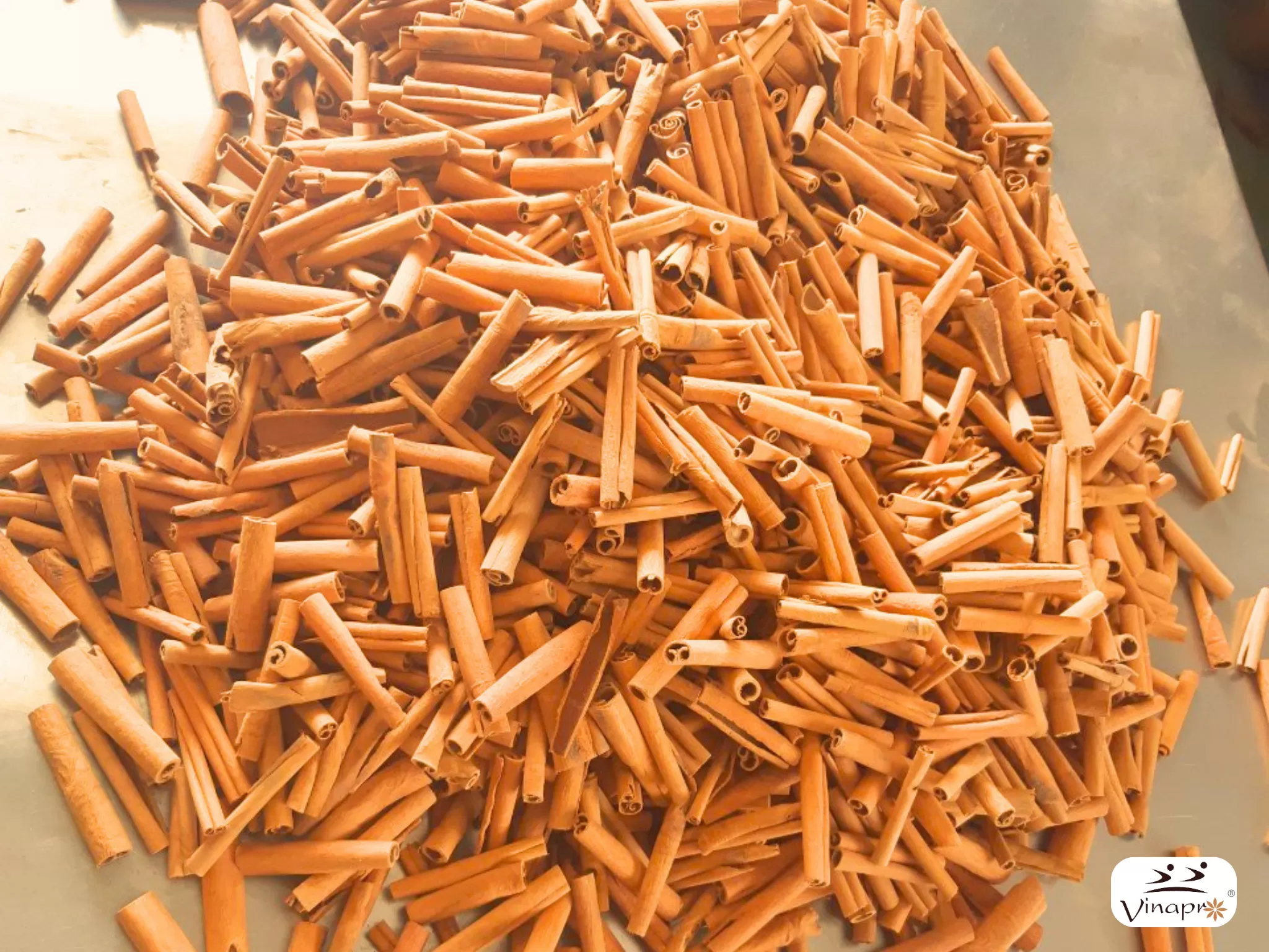 Cigarette cassia