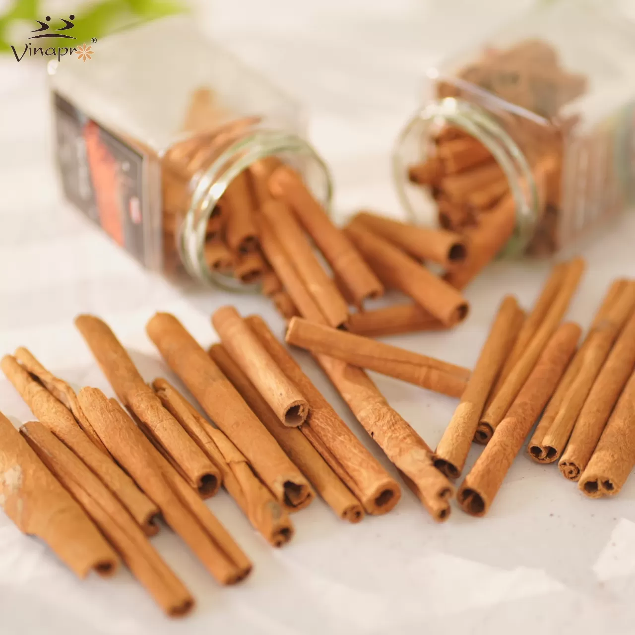 Premium Cigarette Cassia Supplier from Vietnam | High-Quality Cassia Exporter