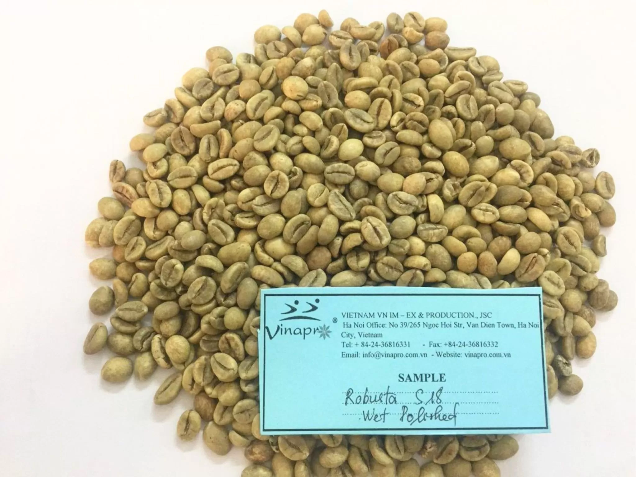 Wet Polished Robusta S18 Supplier | Vietnam Robusta Coffee Beans | Vinapro