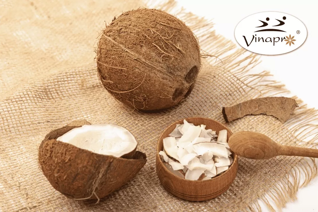 DESICCATED COCONUT - CHIPS