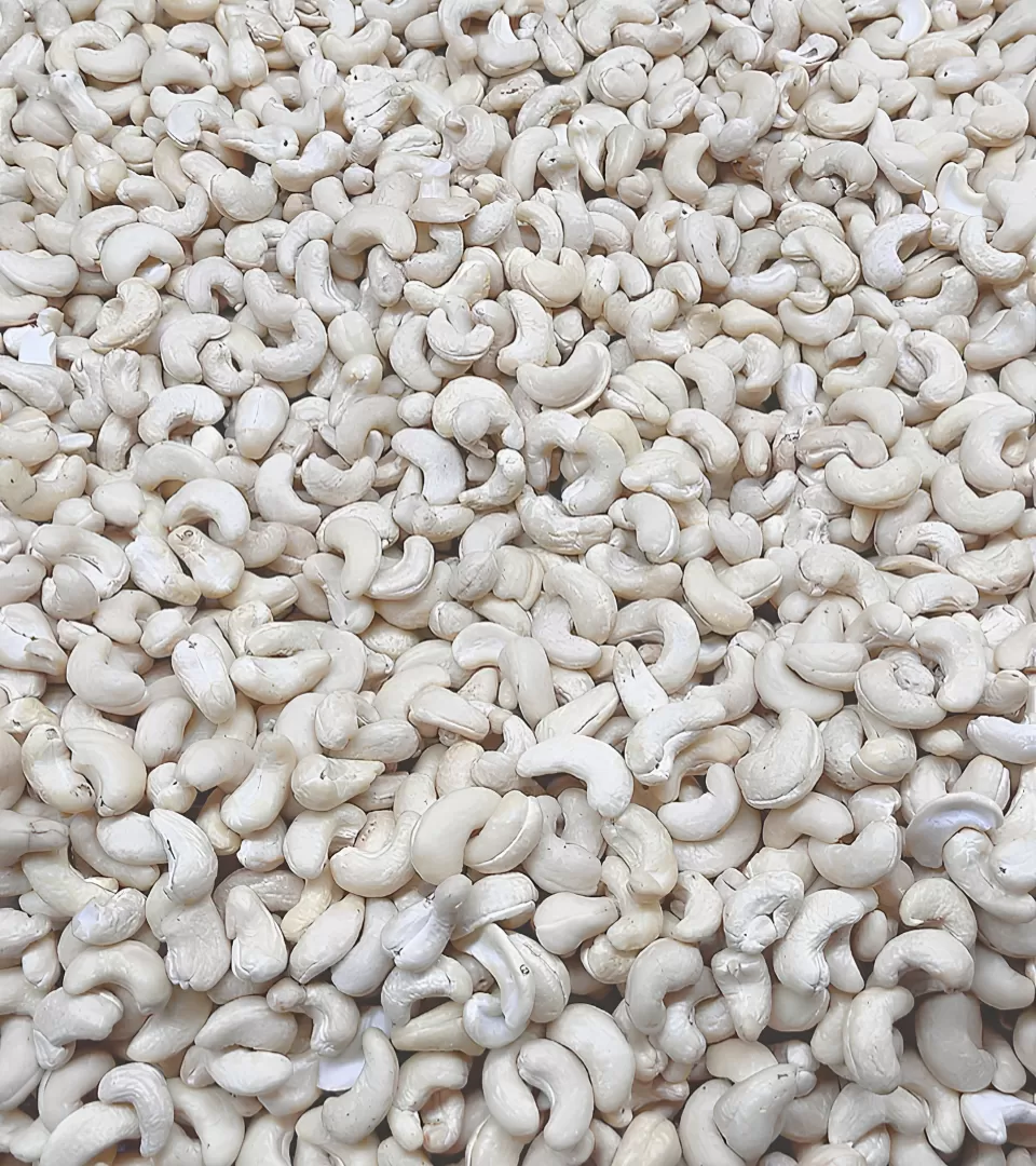 Premium Cashew Nuts Supplier from Vietnam | High-Quality Cashew Kernels Exporter