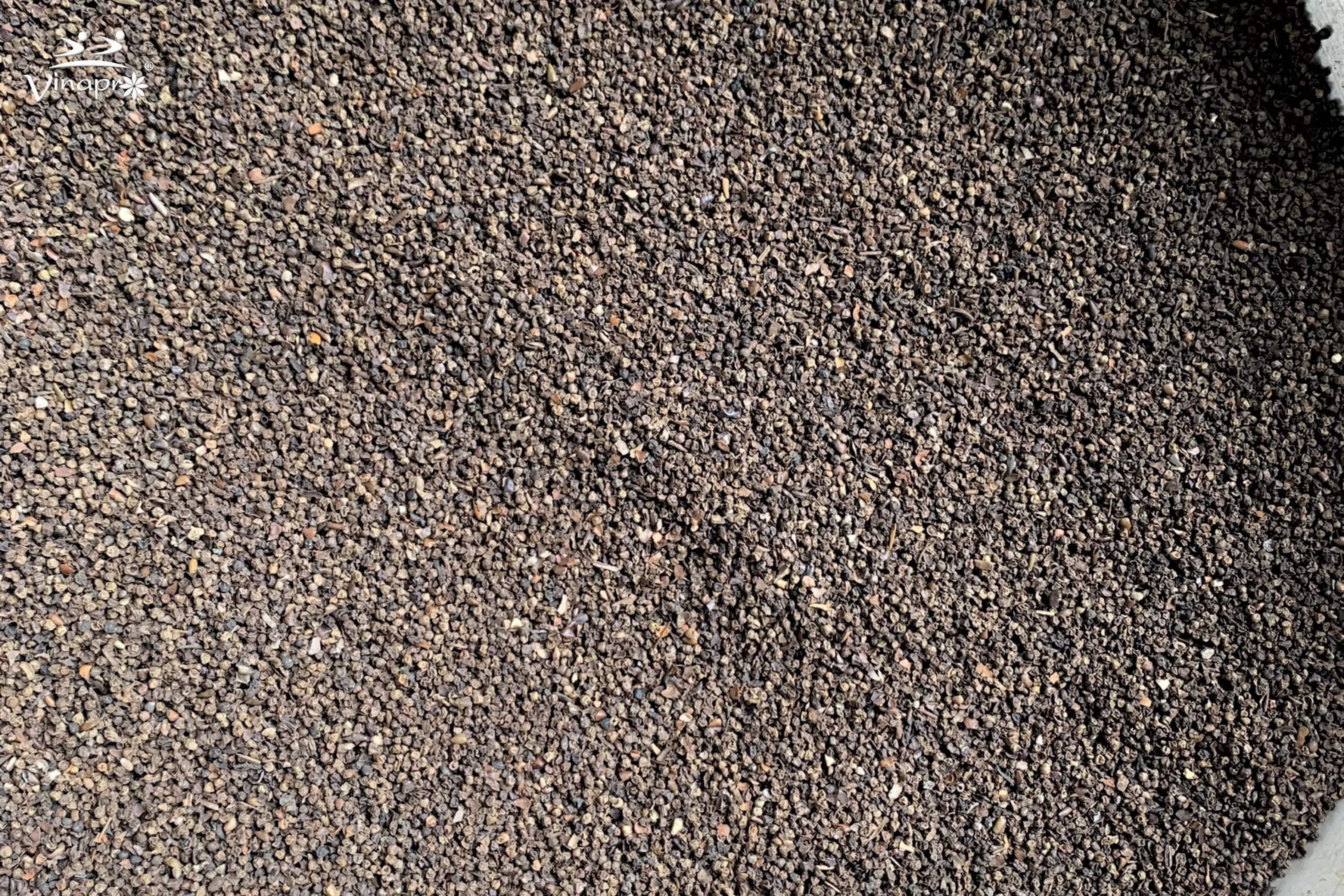 Pinhead Black Pepper