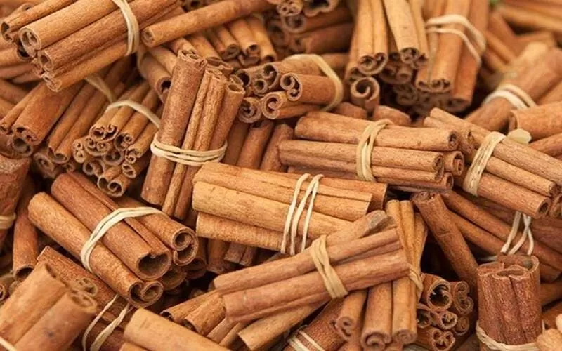 Cigarette Cassia in Global Trade: Why Buyers Continue to Source from Vietnam