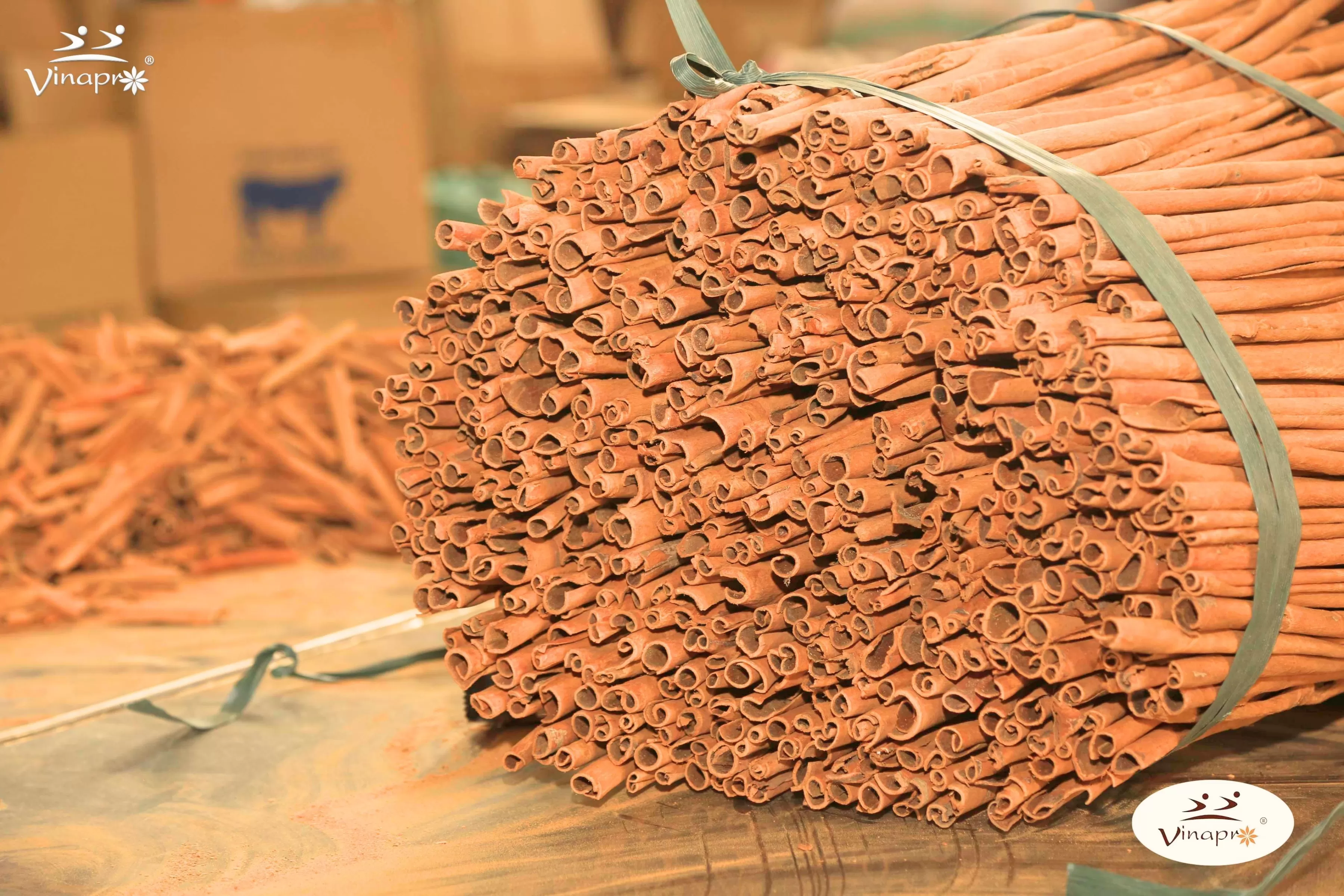 Stick Cassia Supplier from Vietnam | Premium Cassia Cinnamon Exporter