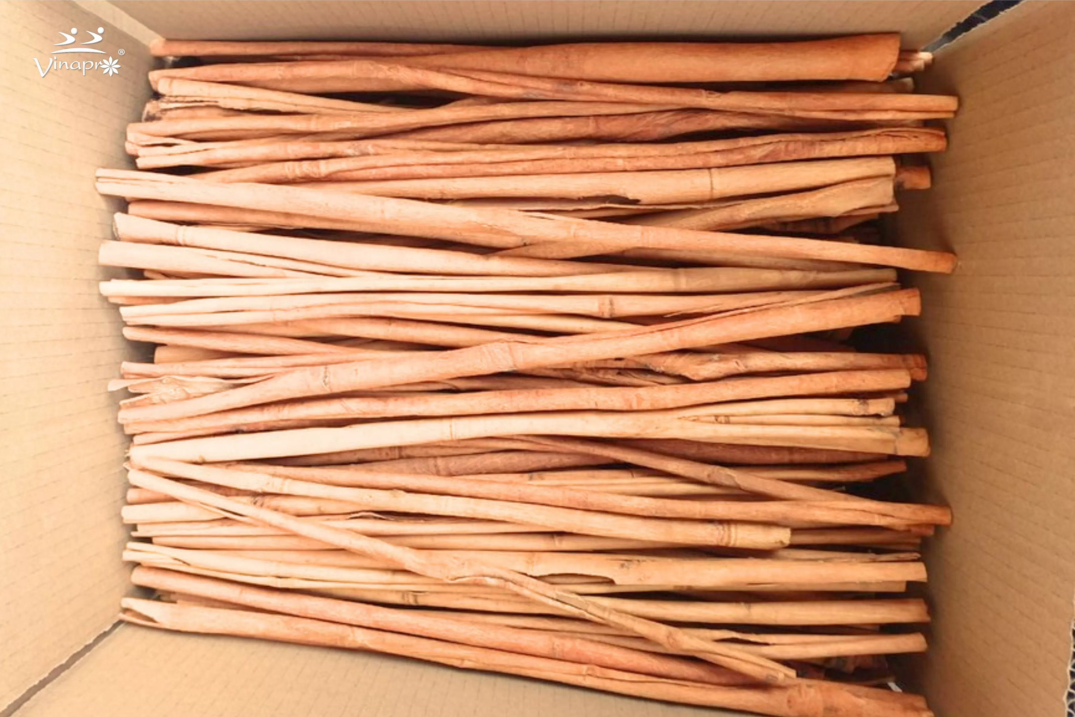 Stick cassia