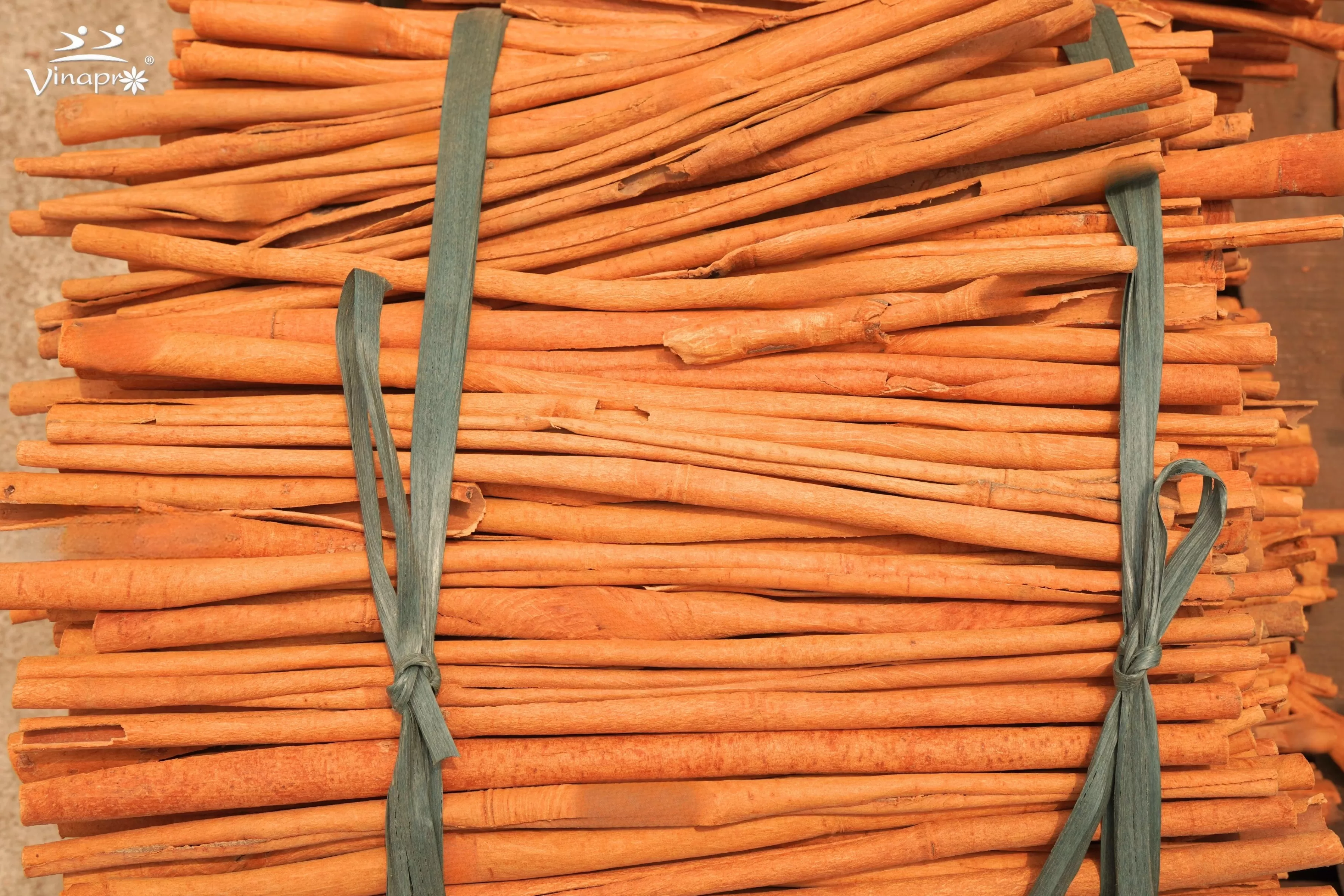 Stick cassia