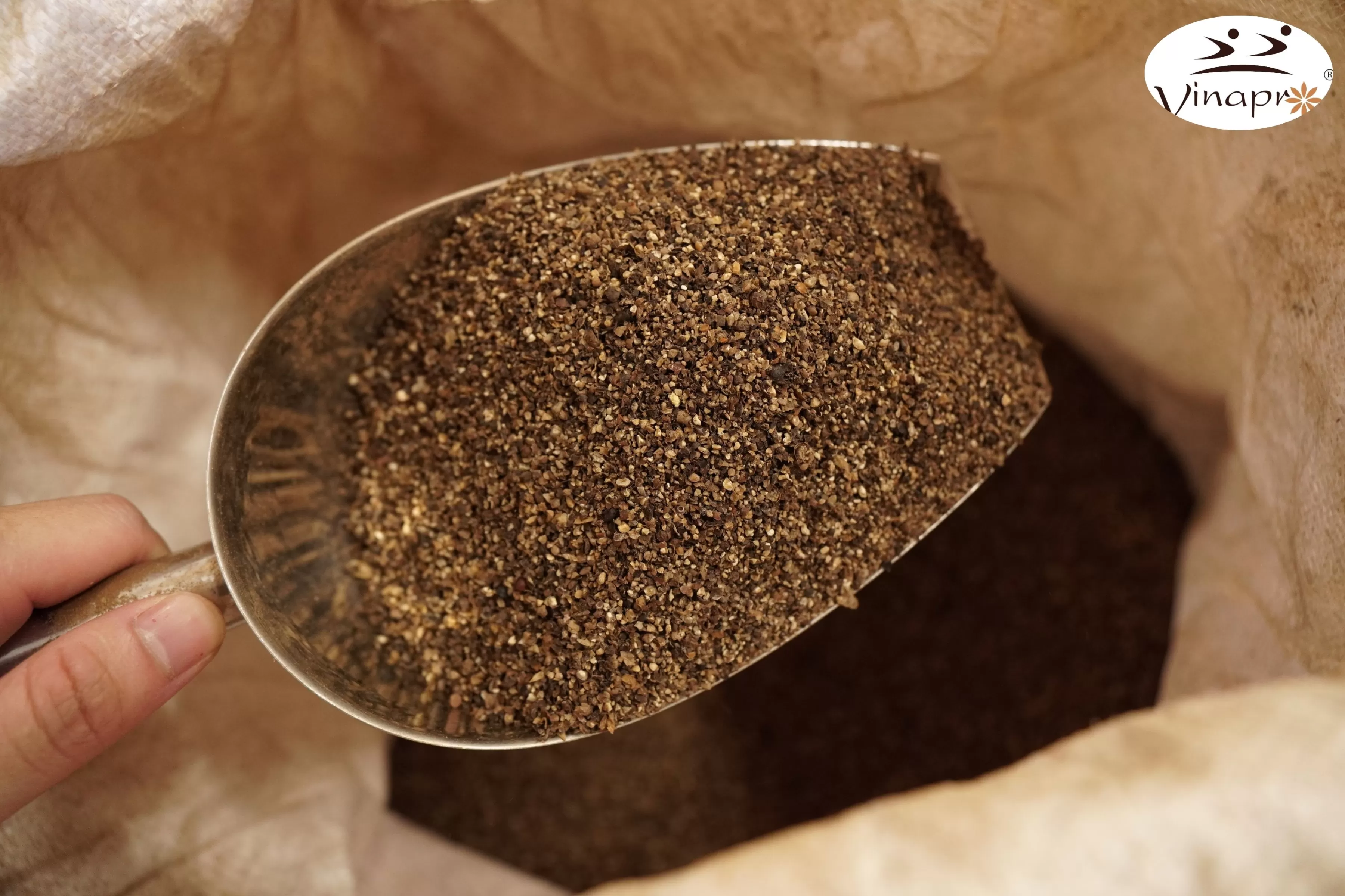 Black Pepper Ground Supplier from Vietnam | Premium Ground Black Pepper