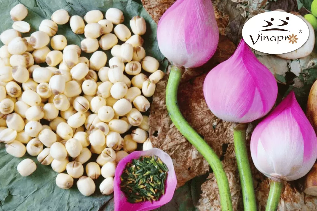 White Lotus Seeds