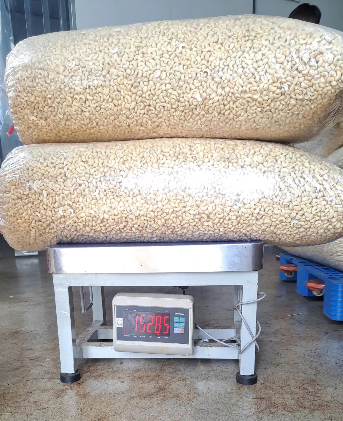 White Whole Cashew Nuts WW240, WW320, WW450