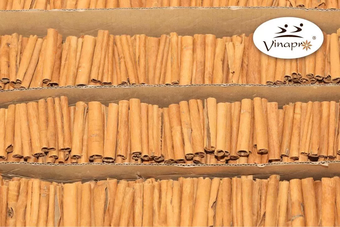 Cigarette cassia