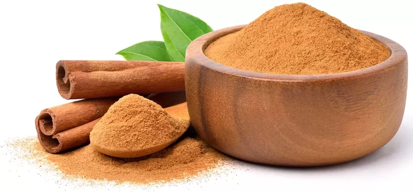 Cinnamon Powder Supplier Europe Wholesale | Vietnam Cinnamon Exporter