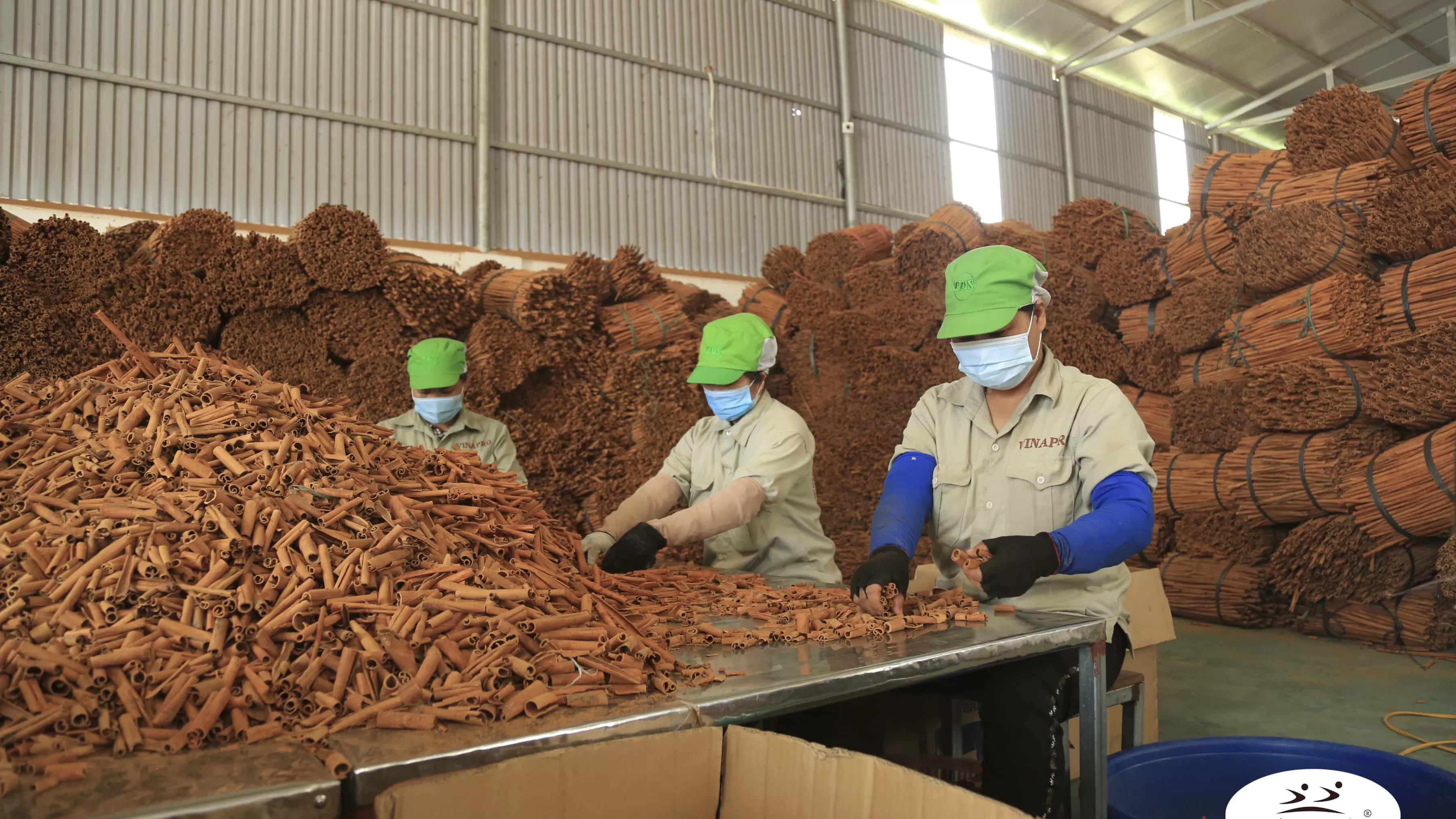 Business advantages of bulk cigarette cassia purchasing