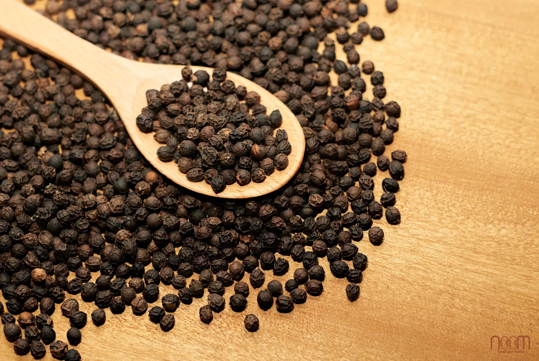 Black Pepper | Premium Vietnam Pepper for Global Food Industry