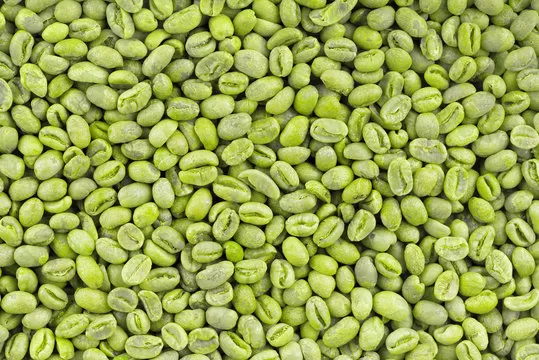 Coffee Beans from Vietnam – Reliable Green Coffee Bean Supplier for Export