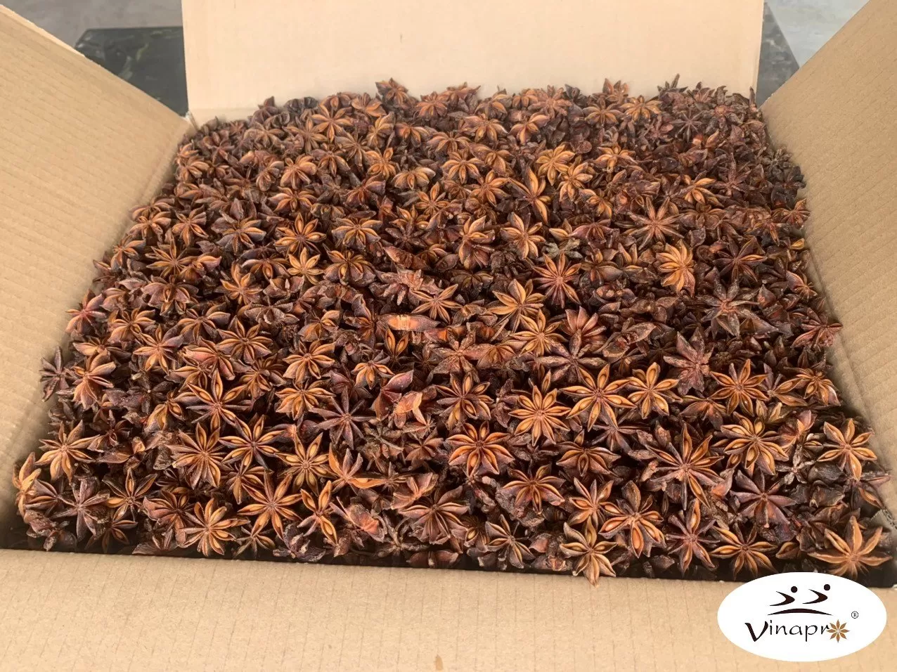 Premium Vietnam star anise export qualit